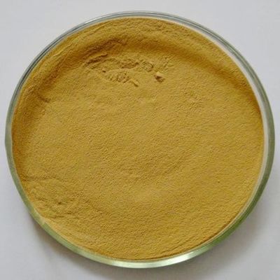 GMP Kosher Natural Sophora Japonica Extract Quercetine ثنائي الهيدرات 95٪