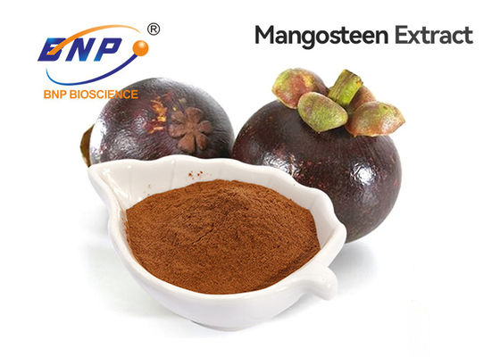 GMP / ISO معتمد طبيعيًا 10٪ -90٪ مسحوق مستخلص ألفا مانغوستين مانغوستين من BNP الصين