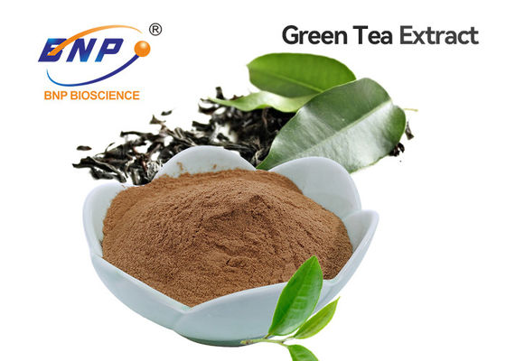 مستخلص الشاي الأخضر شاي بوليفينول 20٪ -98٪ مسحوق بني ، أبيض