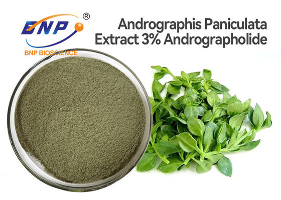 3٪ Andrographolide Natural Antivirus Supplements Andrographis Paniculata Leaf Extract Powder