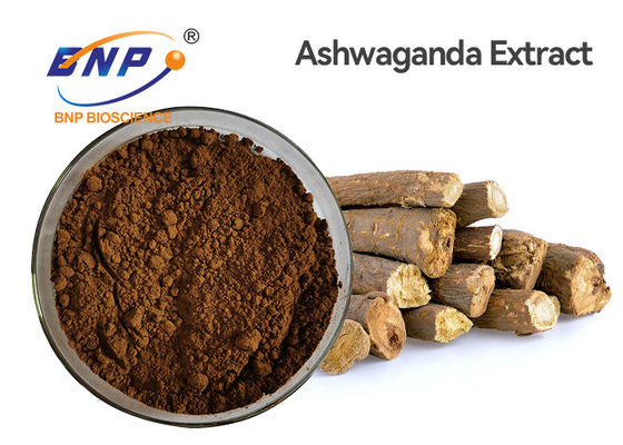 Withanolides 1.5٪ مستخلصات نباتية طبيعية Ashwagandha Withania Somnifera Root