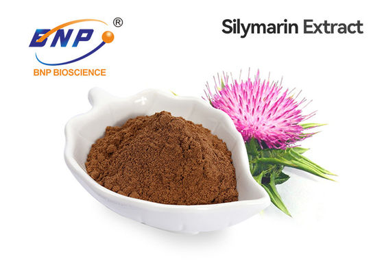 HPLC 30٪ سيليمارين حليب الشوك مستخلص بذور Silybum Marianum