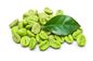 مستخلص حبوب البن الأخضر حمض الكلوروجينيك 50٪ درجة طعام