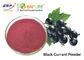 مسحوق عصير الكشمش الأسود الأحمر الأرجواني الغذاء الصف ضلوع مستخلص فاكهة نيجرام