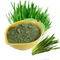 مكمل مسحوق الخضار والفواكه الخضراء Triticum Aestivum Barley Grass Juice Powder