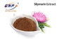 Isosilybin 10٪ HPLC Milk Thistle Extract الملحق للكبد الدهني