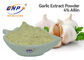 مسحوق مستخلص الثوم عديم الرائحة GMP 4٪ ماركة أليسين BNP