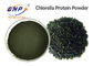 مستخلصات نباتية طبيعية من فئة الغذاء GMP Chlorella Vulgaris Powder