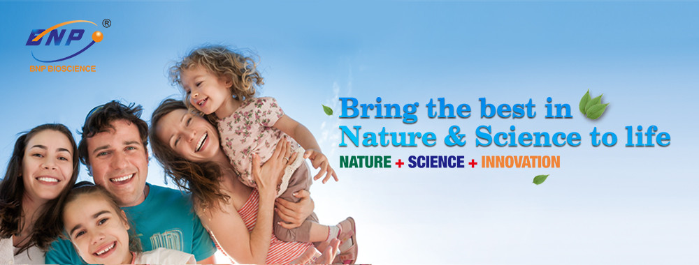 جودة مستخلصات نباتية طبيعية مصنع