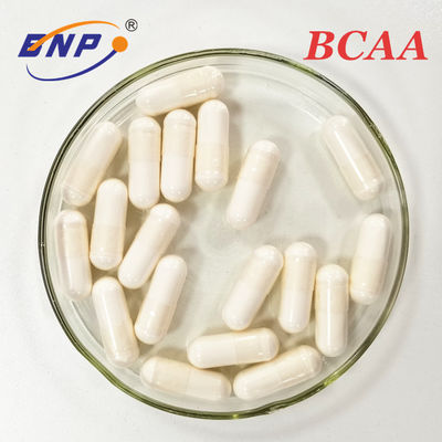 المكمل النباتي BCAA كبسولة الأحماض الأمينية المتفرعة السلسلة
