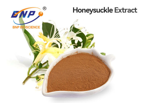 GMP زهر العسل استخراج زهرة حمض الكلوروجينيك 5٪ -98٪