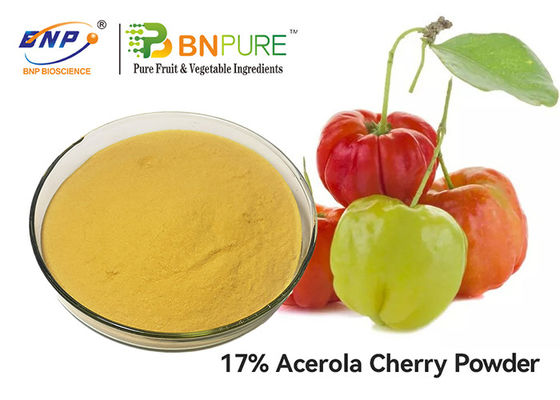 GMP Acerola Cherry Extract Powder فيتامين C 5٪