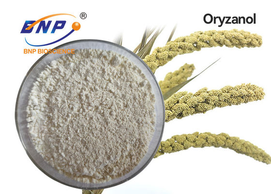 رقم CAS 11042-64-1 مستخلصات نباتية طبيعية مسحوق جاما Oryzanol البلوري الأبيض