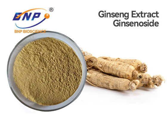 جينسينوسيد 80٪ مستخلصات نباتية طبيعية مسحوق مستخلص الجينسنغ البني