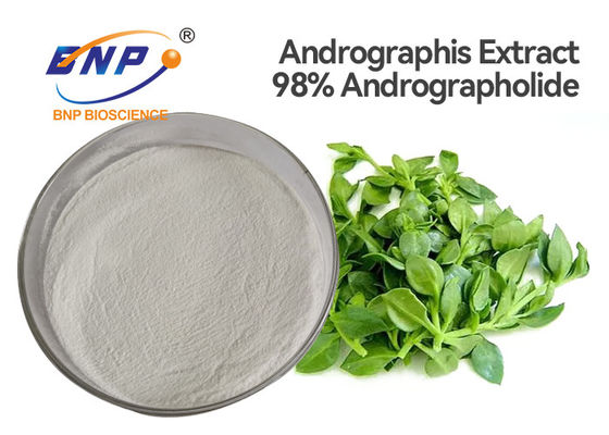 مسحوق مستخلص أوراق ISO Andrographis Paniculata 98٪ Andrographolide