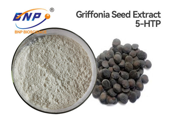98٪ 5-Hydroxytryptophan Powder Griffonia Seed Extract 5-HTP نوم أفضل