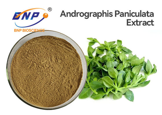 مضاد للفيروسات Andrographis Paniculata Extract Powder 50٪ Andrographolide HPLC