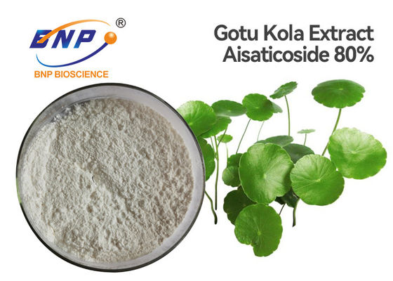 Asiaticoside 80٪ Centella Asiatica Extract للبشرة White Gotu Kola Extract Powder