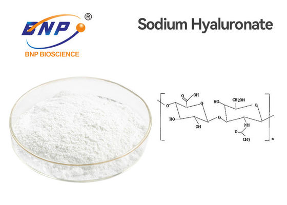 مسحوق حمض الهيالورونيك 95٪ هيالورونات الصوديوم CAS 9004-61-9