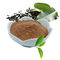 مستخلص الشاي الأخضر شاي بوليفينول 20٪ -98٪ مسحوق بني ، أبيض