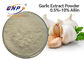 10٪ Alliin Garlic Extract Powder Allium Sativum L. مضاد لمرض السكر
