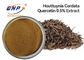 عالية الجودة Houttuynia Cordata استخراج مسحوق Herba Houttuyniae استخراج Quercetin