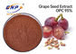 HPLC Grape Skin Extract Powder Polyphenols 70٪ Sambucus Nigra L.