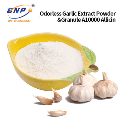 مسحوق مستخلص الثوم عديم الرائحة والحبيبة A10000 Allicin حسب الطلب مقبولة